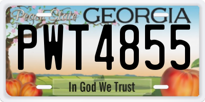 GA license plate PWT4855