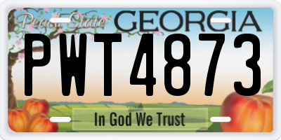 GA license plate PWT4873