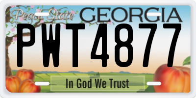 GA license plate PWT4877