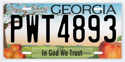 GA license plate PWT4893