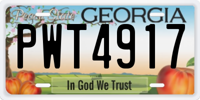 GA license plate PWT4917