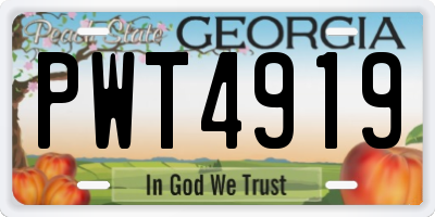 GA license plate PWT4919