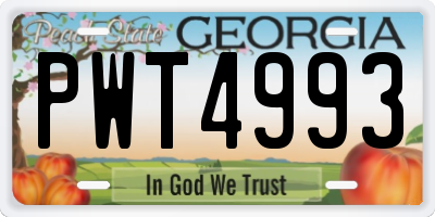 GA license plate PWT4993