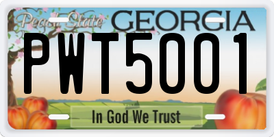 GA license plate PWT5001