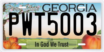 GA license plate PWT5003