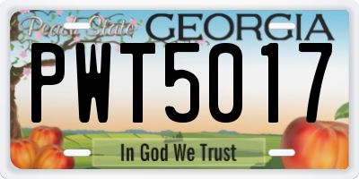 GA license plate PWT5017