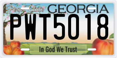 GA license plate PWT5018