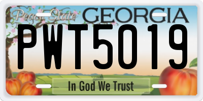 GA license plate PWT5019