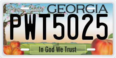 GA license plate PWT5025