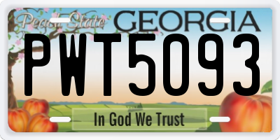 GA license plate PWT5093
