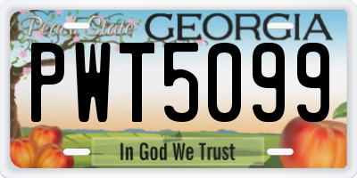 GA license plate PWT5099
