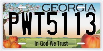 GA license plate PWT5113