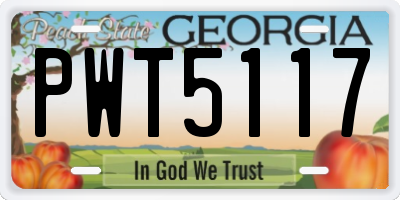 GA license plate PWT5117