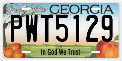 GA license plate PWT5129