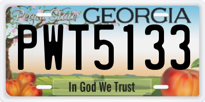 GA license plate PWT5133