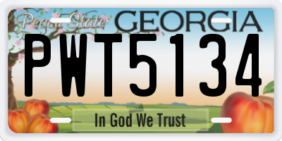 GA license plate PWT5134