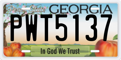 GA license plate PWT5137