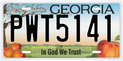 GA license plate PWT5141