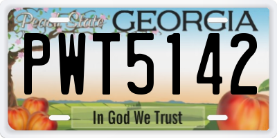 GA license plate PWT5142