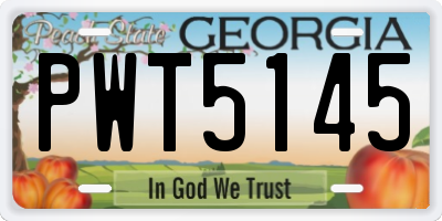 GA license plate PWT5145