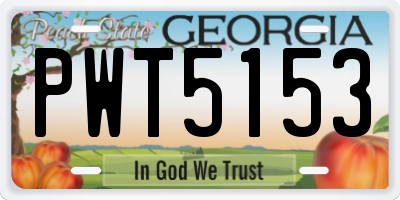 GA license plate PWT5153
