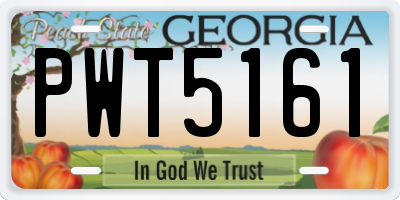 GA license plate PWT5161