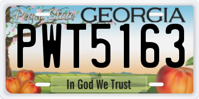 GA license plate PWT5163