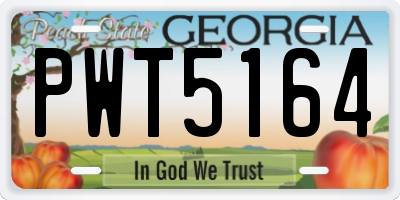 GA license plate PWT5164