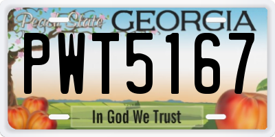 GA license plate PWT5167