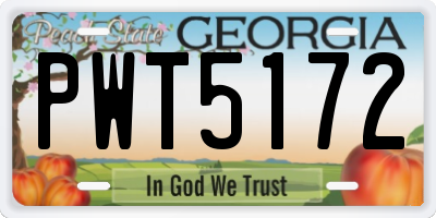 GA license plate PWT5172