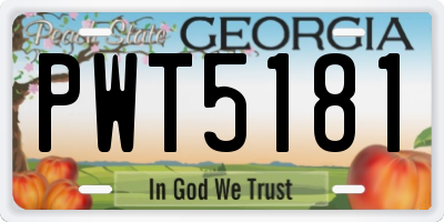 GA license plate PWT5181