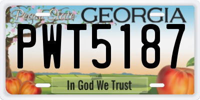 GA license plate PWT5187