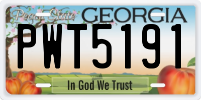 GA license plate PWT5191