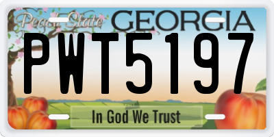 GA license plate PWT5197