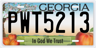GA license plate PWT5213
