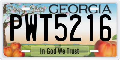 GA license plate PWT5216
