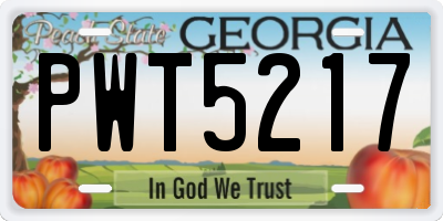 GA license plate PWT5217