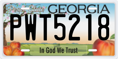 GA license plate PWT5218