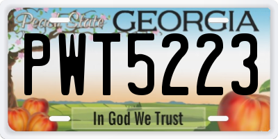GA license plate PWT5223