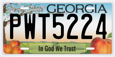 GA license plate PWT5224