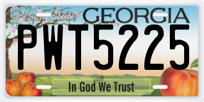 GA license plate PWT5225