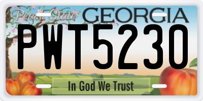 GA license plate PWT5230