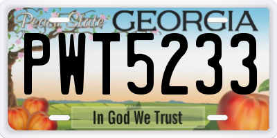 GA license plate PWT5233