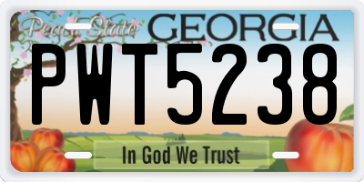 GA license plate PWT5238