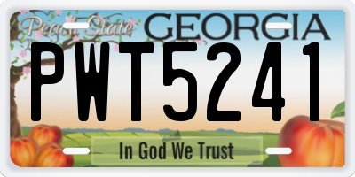 GA license plate PWT5241
