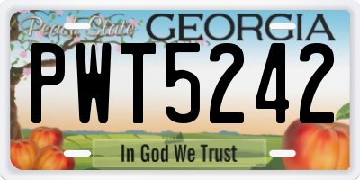 GA license plate PWT5242