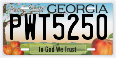 GA license plate PWT5250