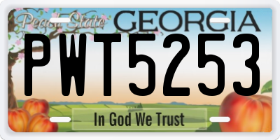 GA license plate PWT5253