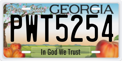 GA license plate PWT5254