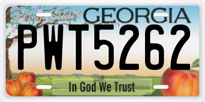 GA license plate PWT5262